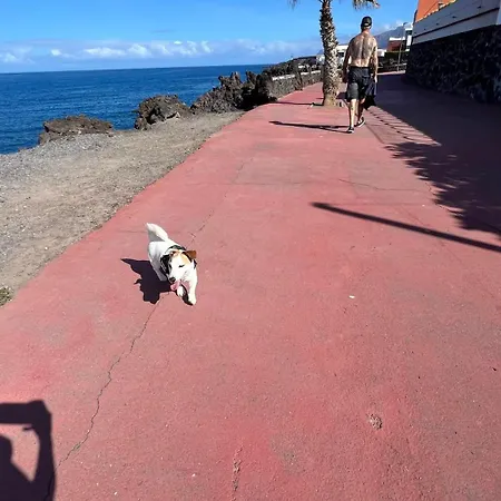 Apartment Alcamar, Penthouse For Rent With Beautiful Views In Playa De San Juan! *